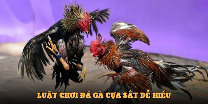 Luật chơi đá gà cựa sắt tại OK365 đơn giản