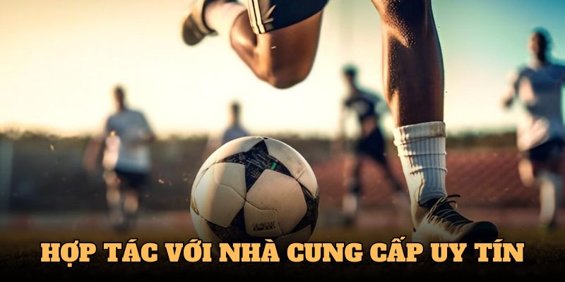 Nhà cung cấp cá cược hàng đầu tại OK365