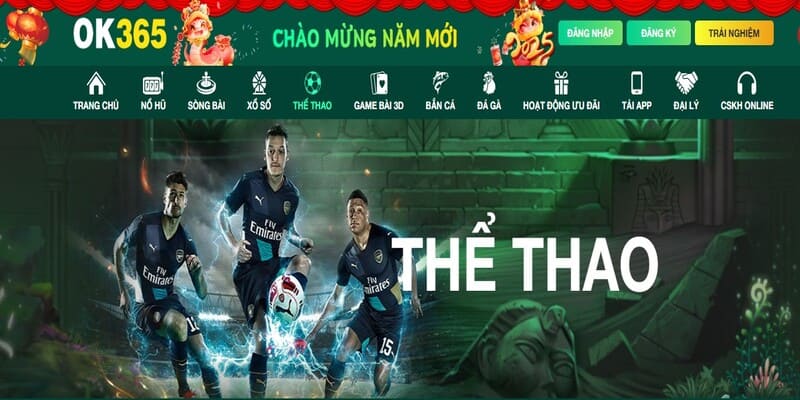 Một số thông tin giới thiệu về trang chủ nhà cái OK365