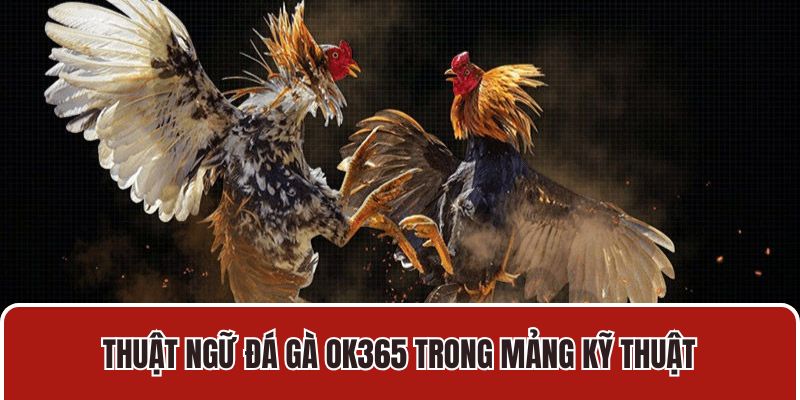 Thuật ngữ đá gà OK365 trong mảng kỹ thuật